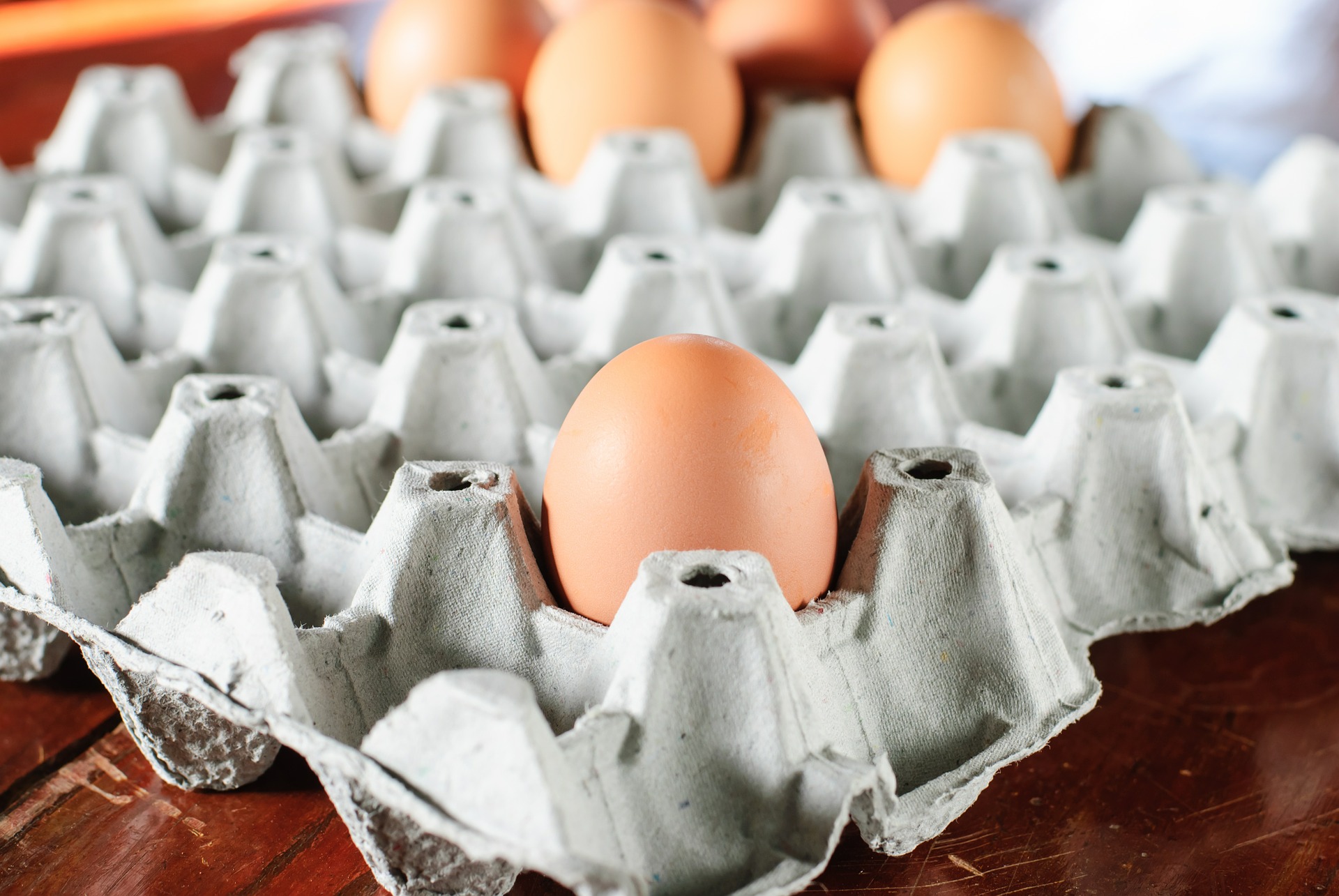 Proteinbedarf auch mit Eiern decken