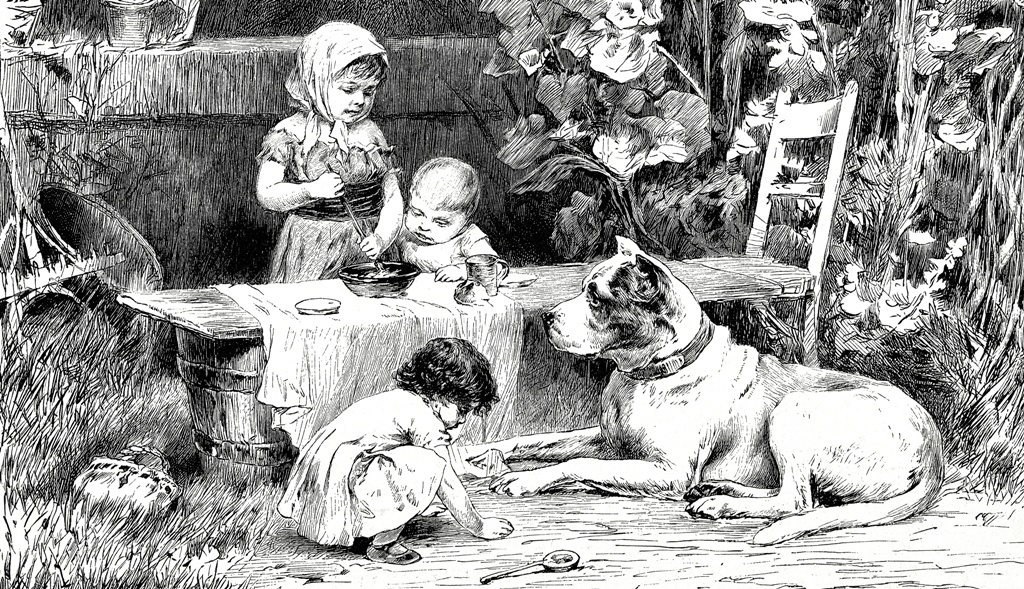Die Geschichte der Hundeernährung