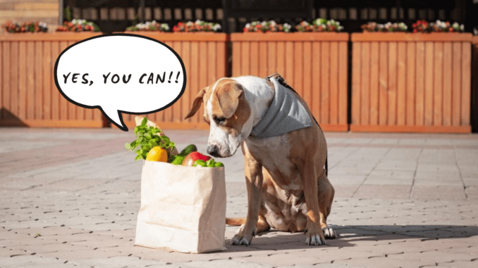 Hunde sollten Gemüse und Obst fressen