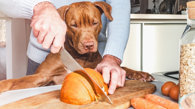 Kürbis für Hunde