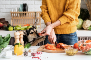 Front view of female hands making salad and giving a piece of a vegetable to a dog